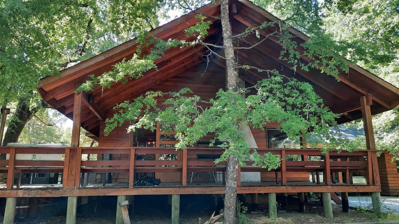Agradable Casa Cerca De Las Termas De Chillan Las Trancas Exterior photo