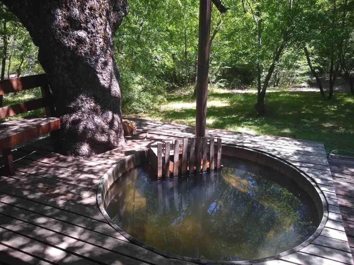 Agradable Casa Cerca De Las Termas De Chillan Las Trancas Exterior photo